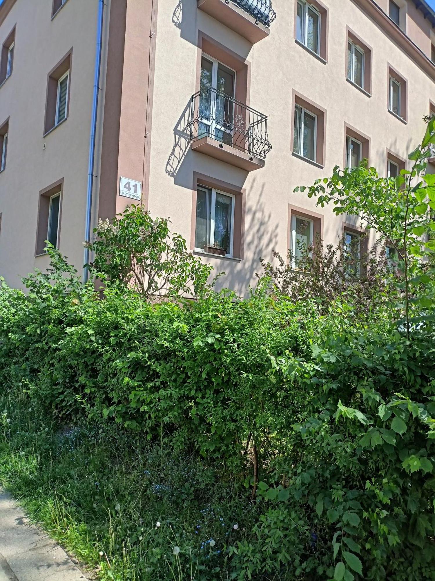 Apartament Slowackiego 41 イェレニャ・グーラ エクステリア 写真