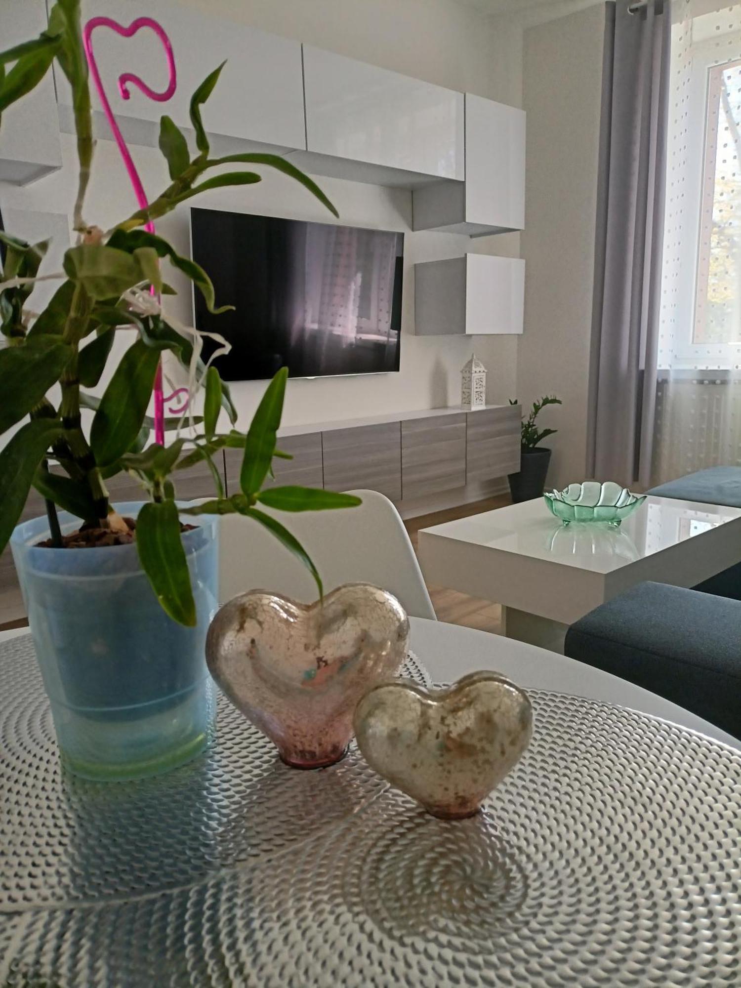 Apartament Slowackiego 41 イェレニャ・グーラ エクステリア 写真